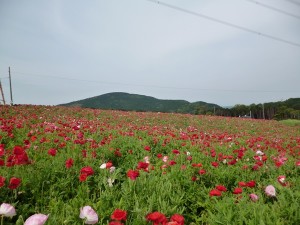 俵山萌の里